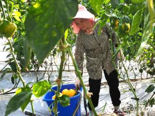 贵州清镇：建设“四好农村路” 跑出乡村振兴“速”