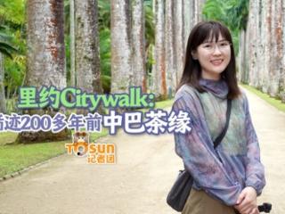 时政Vlog丨里约Citywalk：循迹200多年前中巴茶缘