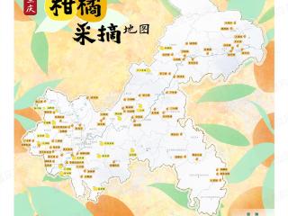 跟着这份地图，去享受亲手采摘柑橘带来的味蕾盛宴