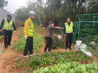 净化高速公路路域环境，清理非法种植