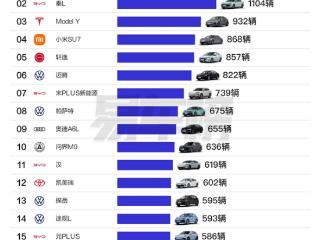 北上广深一线城市爱买啥车 北京喜欢比亚迪、上海广州更爱特斯拉