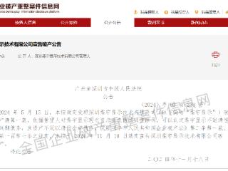 深圳中院宣告深圳柔宇显示技术有限公司破产