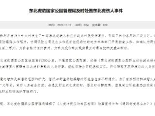 黑龙江老虎进村伤人后续：东北虎豹国家公园管理局最新回应