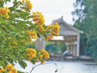 冷空气携雨入厦今天仍有小阵雨 未来几天我市气温偏低