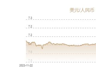 11月20日人民币对美元中间价报7.1935元 下调24个基点