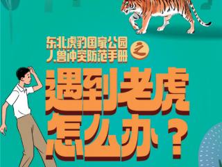 官方回应“东北虎伤人事件”：将垫付伤者医疗费用