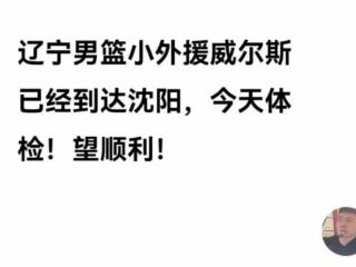 辽宁第二外来了！威尔斯抵沈阳+体检，优缺点明显，却是失误大王