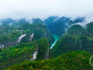 彩林掩映 峡谷如画