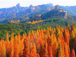 今年年底前，沿黄九省区的朋友游崂山门票半价！