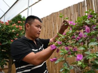 漳州芗城：美丽经济为乡村振兴锦上添“花”