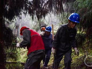 高山巡线 清理树障保安全