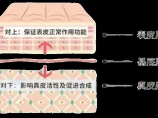 深圳联合丽格黑曜双波面部抗老项目 新品体验火热进行中