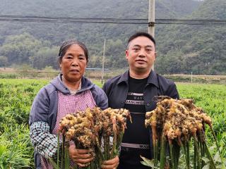 安顺：依托特色农业 拓宽产业链条