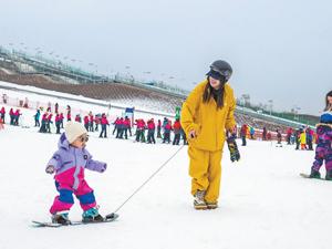 新雪季  迎客来