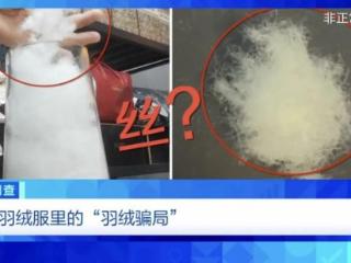 假！假！假！央视曝光“羽绒骗局”！你的孩子可能正在穿