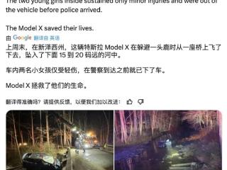 为躲鹿不慎冲出车道坠河：特斯拉Model X护两人安全