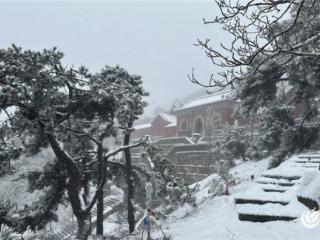 达到暴雪量级！泰山已是一片银装素裹