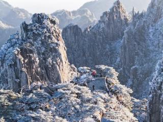 雪后黄山格外美（图）