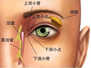 车祸后泪流不止？普瑞眼科医生“大海捞针”成功修复断裂的泪小管