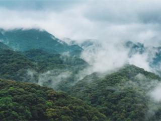 “防范于未燃” 四川凉山州努力交好森林防火“时代新答卷”