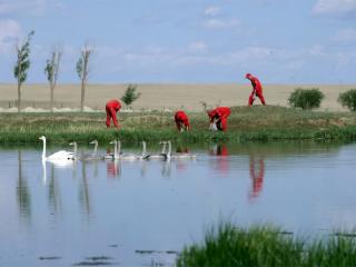 中国石油荣登《财富》2024年双榜 生物多样性保护成果显著