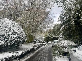 “雪窝”发威！威海一键切换冰雪世界！气象台刚刚发布暴雪黄色预警