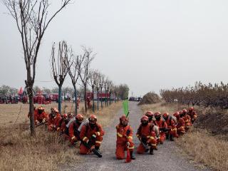 织密安全网，潍坊市森林防灭火工作全面升级