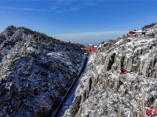 山东泰安：瑞雪落岱宗