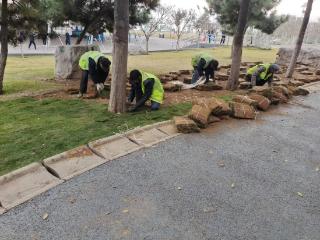 增绿补绿优环境！临沂市城管局打造市民家门口的“生态氧吧”