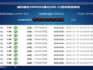 上海浦东三林镇宅地触及78.7亿元中止价成交：竞得人为中能建越秀华润联合体