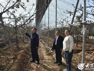 潍坊诸城市舜王街道组织人大代表 政协委员调研农业发展