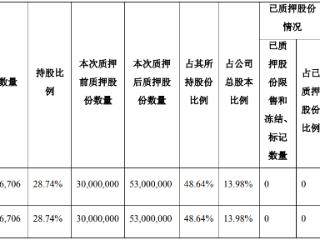 理工能科控股股东天一世纪拟减持 所持49%股份已质押