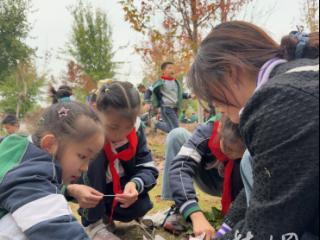 以观鸟之名 华中里学子守护鸟类家园