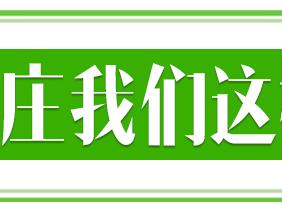 潍有双百双千 坊显振兴力量丨老村焕新颜，西王门村奏响乡村振兴“新乐章”