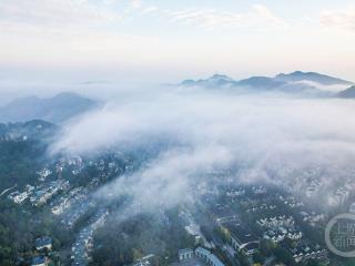 南山现平流雾景观 云海茫茫宛若“天空之城”