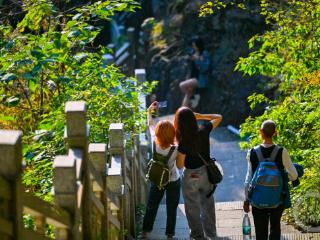 漫步清水溪步道 品味南山诗情画意