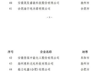 2024安徽省民营企业百强榜单发榜