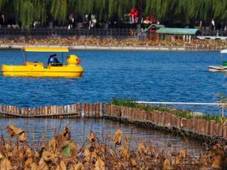 济南初冬气温回升，大明湖蓝天碧水、景色宜人