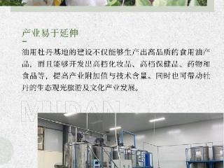 一图看懂菏泽油用牡丹