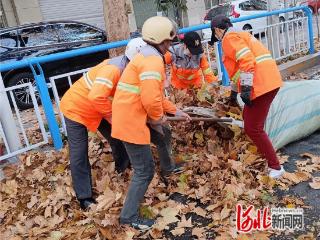 石家庄市新华区：初冬落叶飘 环卫清扫忙