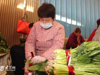 岱岳区良庄镇：打响“蔬菜捆扎工”劳务品牌