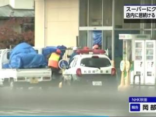 日本一超市遭熊“入侵”致1人受伤 警方正尝试捕捉