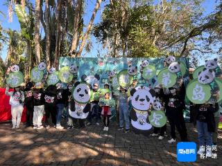 海南热带野生动植物园举办熊猫登岛6周年系列庆祝活动