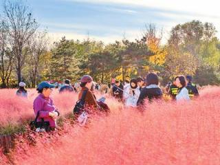 一座超大城市如何成为生物多样性魅力城市？