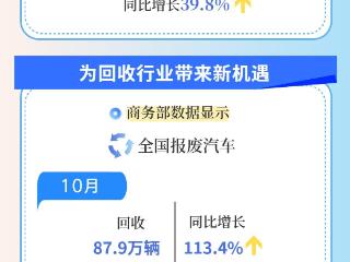 数读中国丨以旧换新激发汽车消费新活力