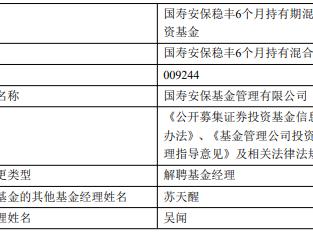 吴闻离任国寿安保稳丰6个月持有混合