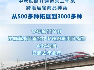 从500多种到3000多种 中老铁路“带货”强劲