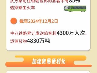 数读中国丨中老铁路开通运营3周年 “黄金大通道”显活力