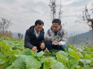 习水县永安镇：忙碌的“秋冬” 播种“春夏”的憧憬