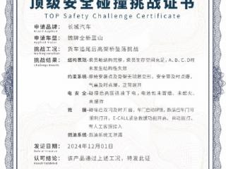 行业首个高架桥坠落挑战成功通关！魏牌全新蓝山实力演绎“顶级安全”